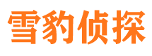 徽县市侦探调查公司